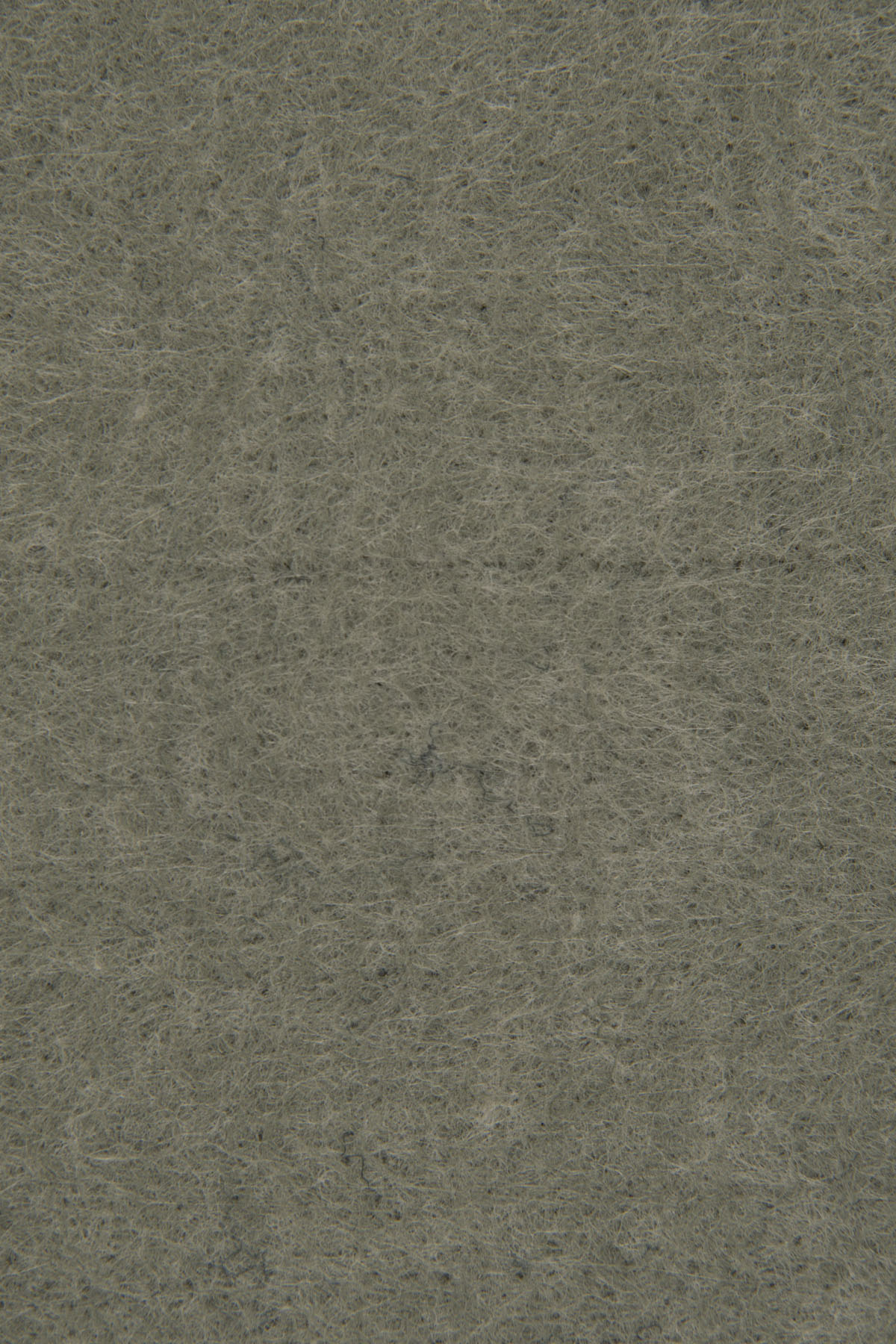 Almond Leaf 4264