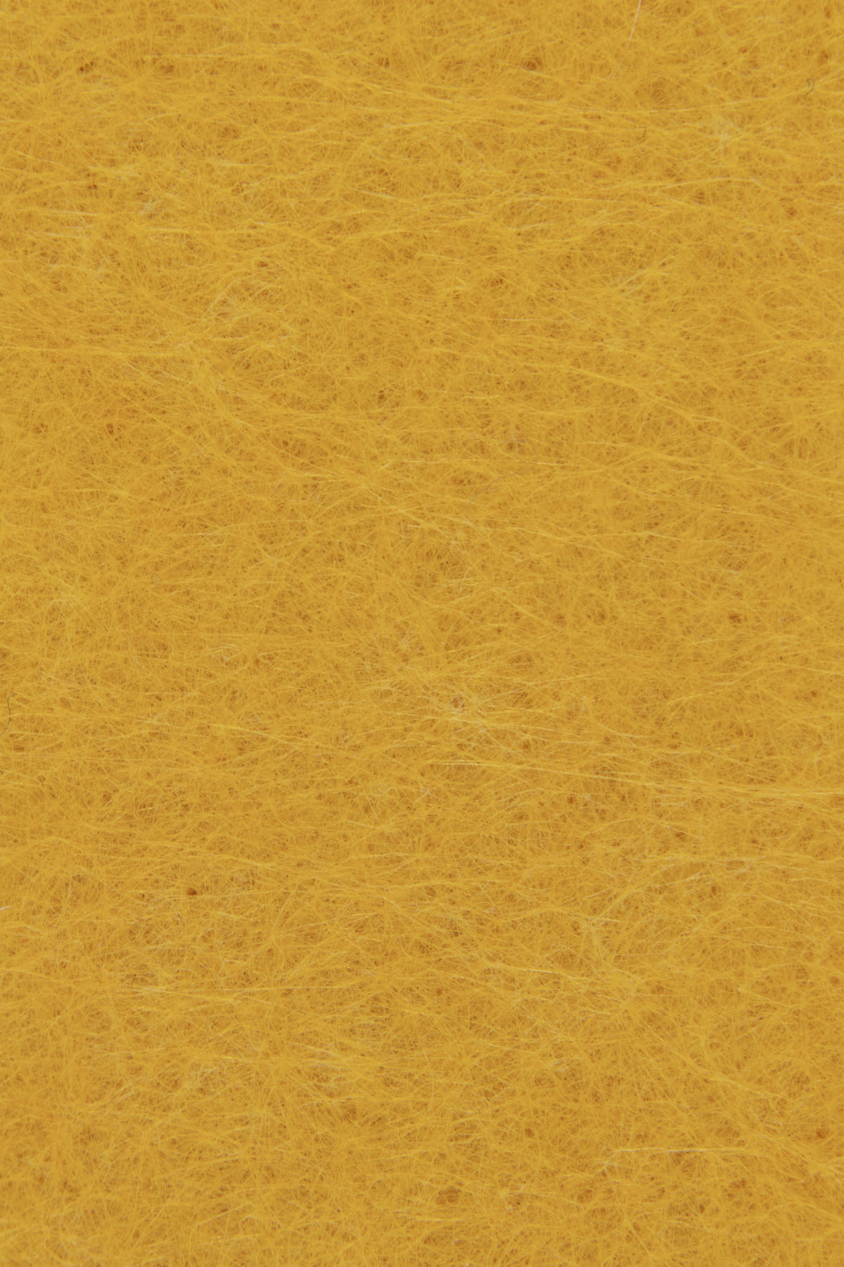 Prairie Sun 4241