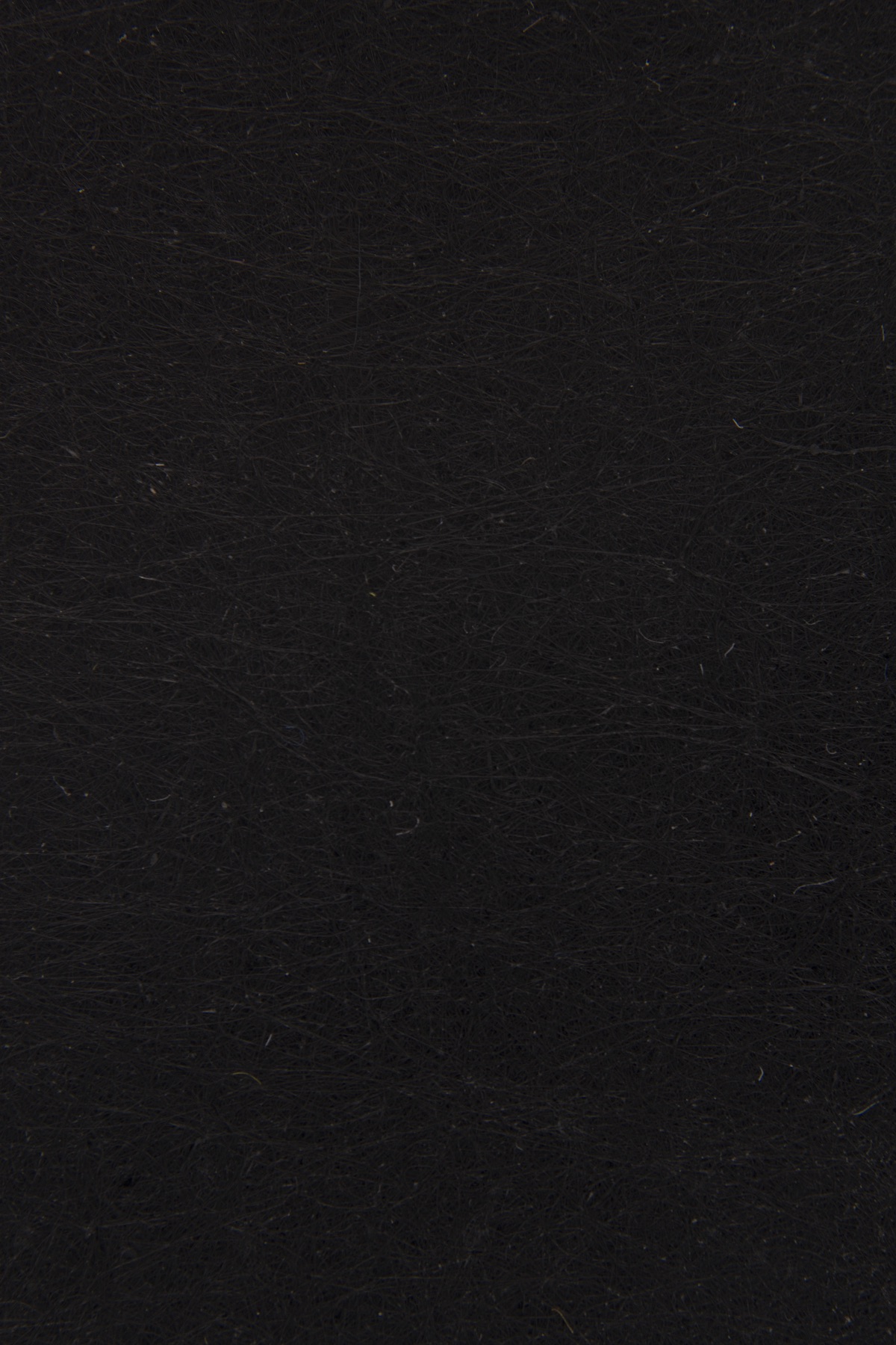 Midnight Timber 4224